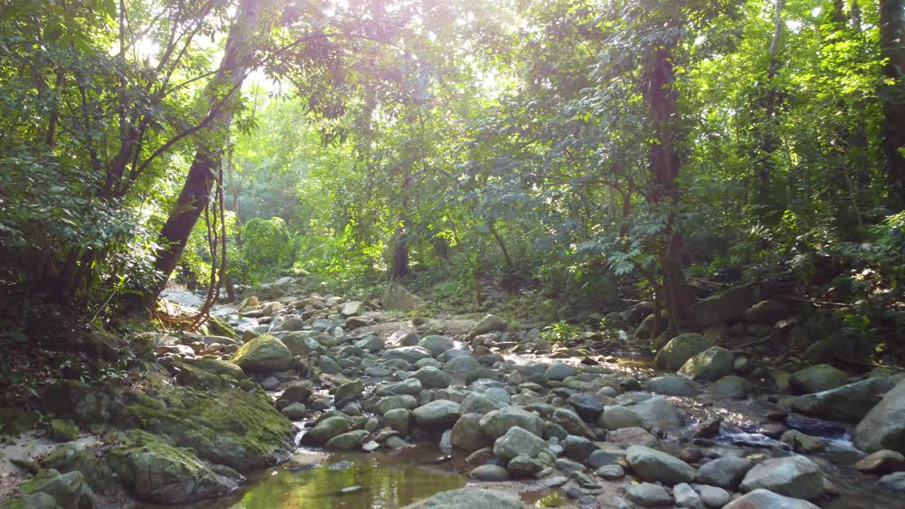 콜롬비아의 안데스 산맥에 있는 시에라 네바다 데 산타 마르타 산맥의 민카 근처의 열대 우림에 있는 작은 강의 급류에 있는 바위