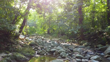 Rocas-En-Los-Rápidos-De-Un-Pequeño-Río-En-Una-Selva-Tropical-Cerca-De-Minca-En-La-Sierra-Nevada-De-Santa-Marta-En-La-Cordillera-De-Los-Andes,-Colombia