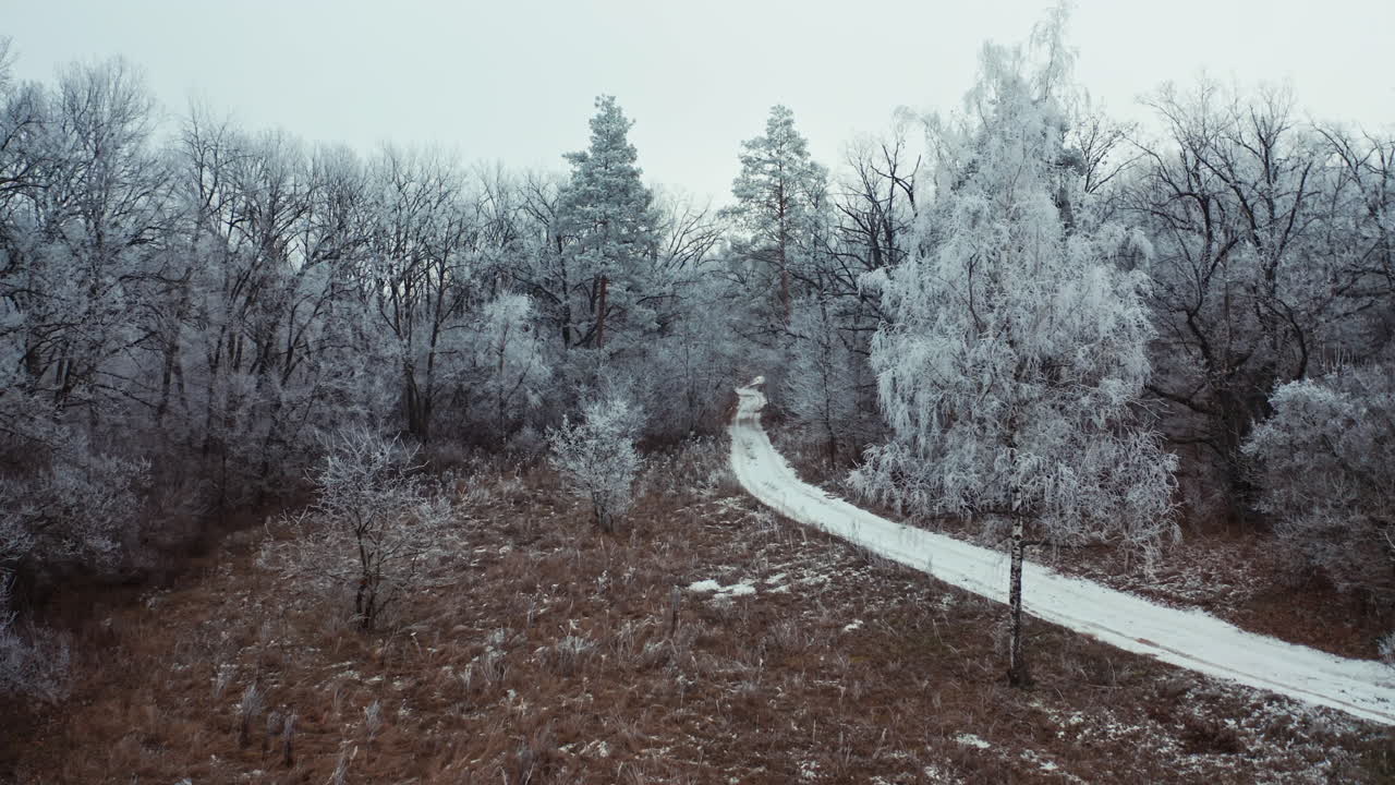 Snowy forest with road. Aerial drone view of snowy winter forest and road