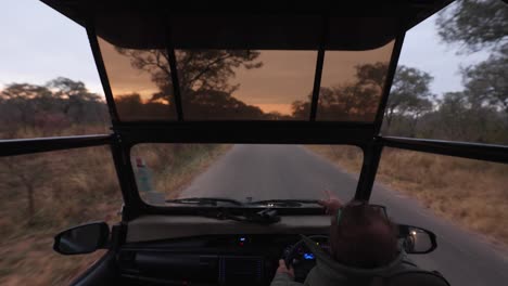 pov of safari guide driving safari vehicle on remote road at dawn