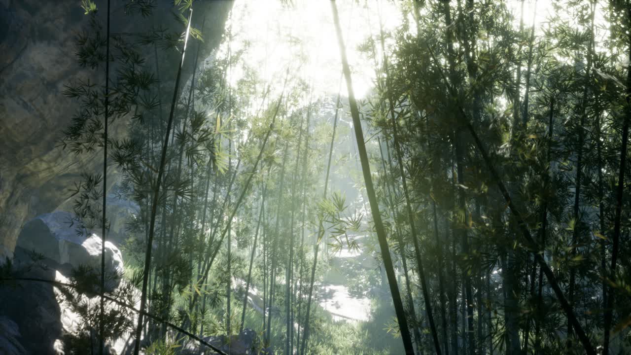 hojas verdes exuberantes de bambú cerca de la orilla de un estanque con piedras.