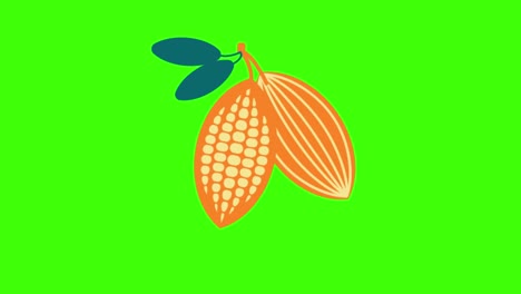 icon of cocoa beans popping up on the green screen