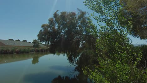 Vista-Aérea-De-Un-Lago-Tranquilo-En-Un-Parque-Natural-Que-Luego-Revela-Una-Garceta-Nevada-Encaramada-En-Un-árbol-Que-Mira-Sobre-El-Agua