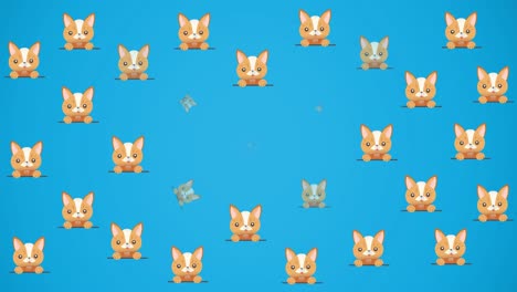 animación de lindos retratos de gatos y perros repetidos, sobre un fondo azul