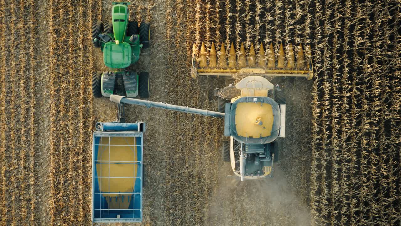Sunset harvest dust cloud trails behind the combine