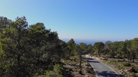 road in the nature on ibiza