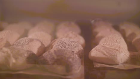 bakery oven with bread