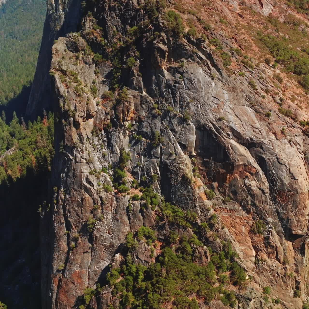 Stunning view of cliff rock at sunny daytime. Little stream flowing from the mountain beside. Lots of pine trees growing at the foot of mountains. Aerial view
