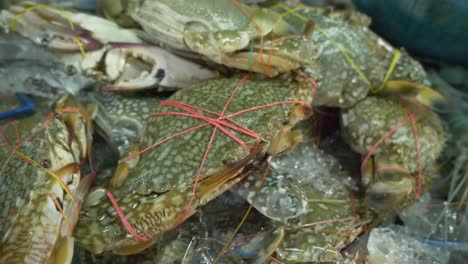 dead fresh sea brown crab in ice bucket at asian thailand fish market street for sale