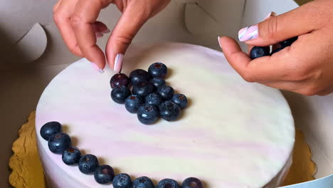 hands arranging blueberries on top of a cake - close up