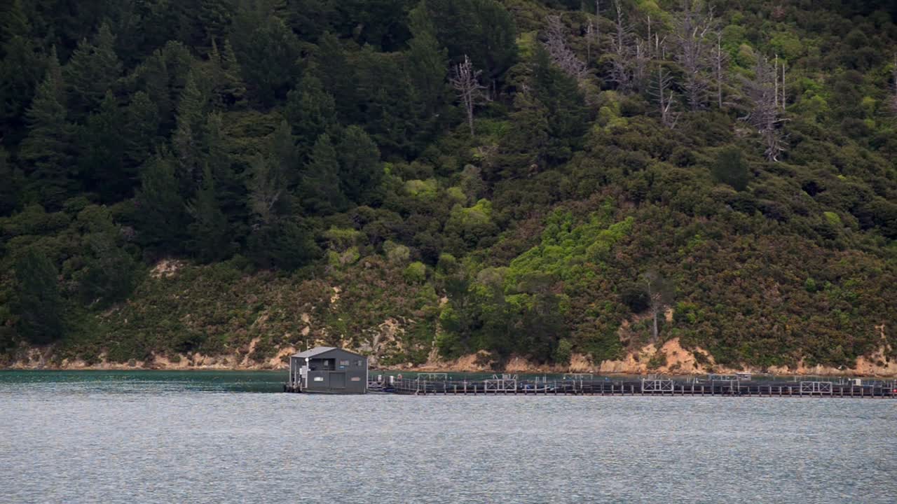 뉴질랜드 말보로 외곽의 연어 양식장