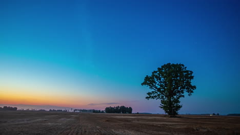 static shot of ripe wheat field during evening time in timelapse