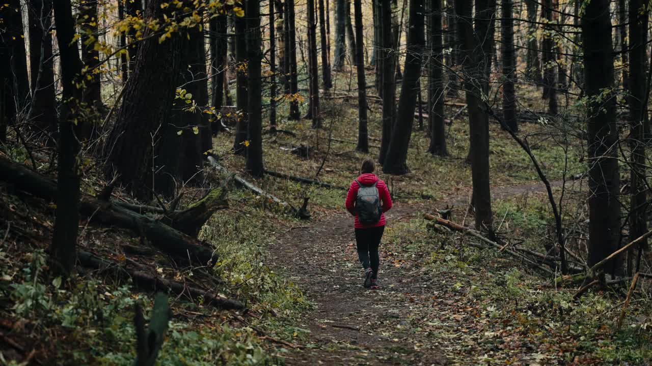 una chica camina sola en el bosque de invierno de la naturaleza en un día nublado