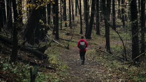 A-girl-walks-alone-in-the-winter-forest-of-nature-on-a-cloudy-day