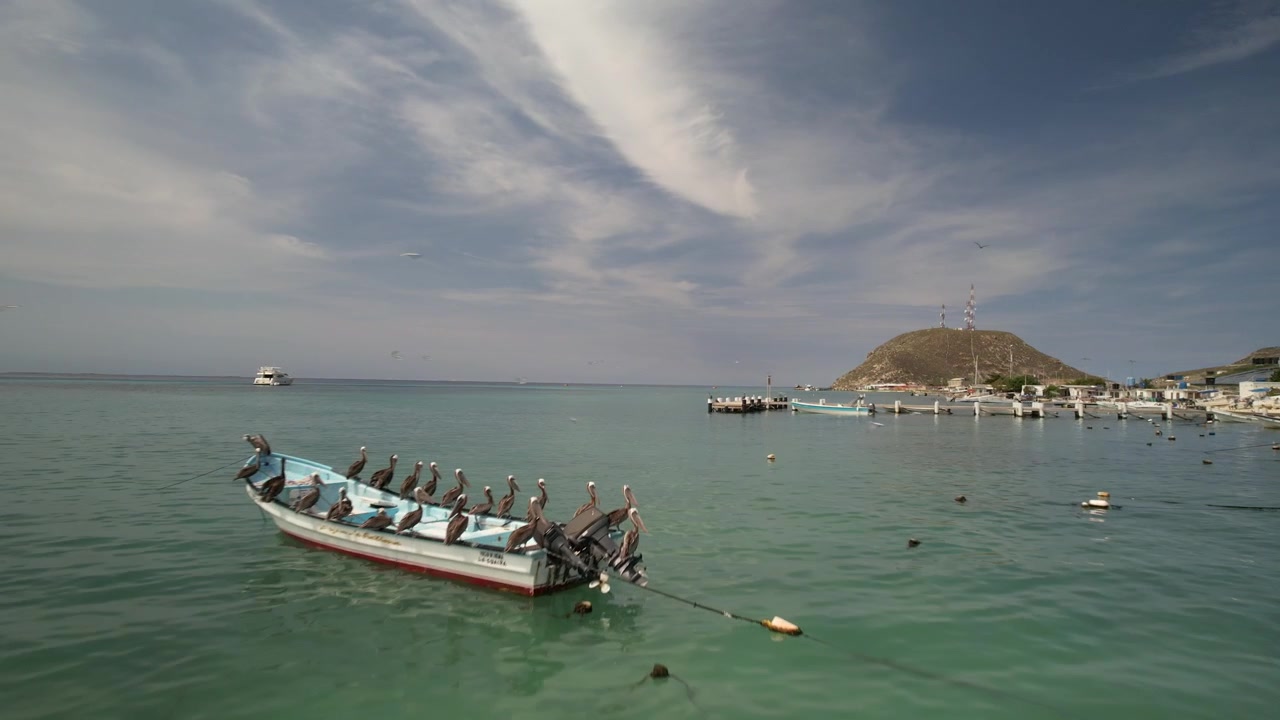 Barche da pesca ancorate in una baia serena con uccelli marini che volano sotto un cielo vibrante vicino a una collina costiera.