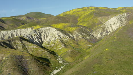 Aerial-Drone-Fly-Slow-above-green-American-Mountain-Landscape-Carrizo-Plains-Foothills-in-California,-Soda-Lake,-skyline-daylight-background