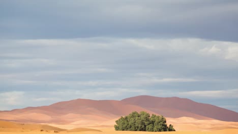 Merzouga-Wüste-22