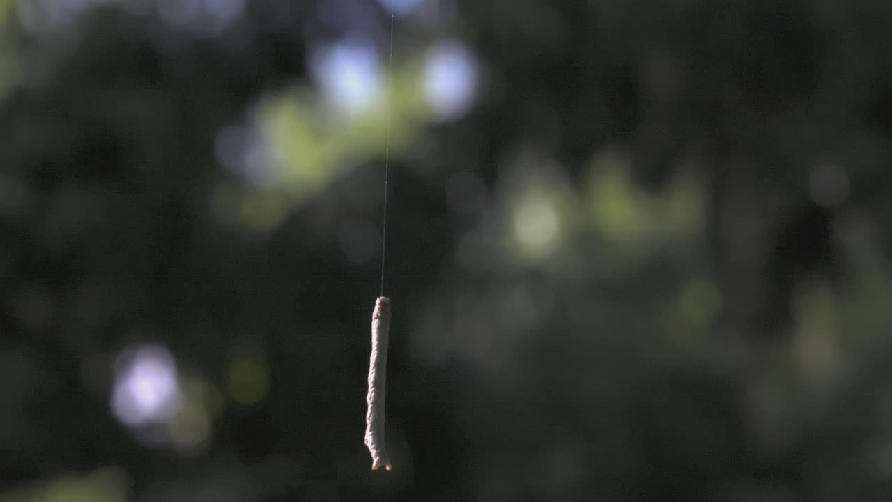 거미줄 에 매달린 작은 가지