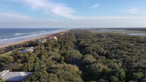 Dichte-Bäume-Schützen-Die-Florida-State-Road-In-Palm-Beach,-Florida