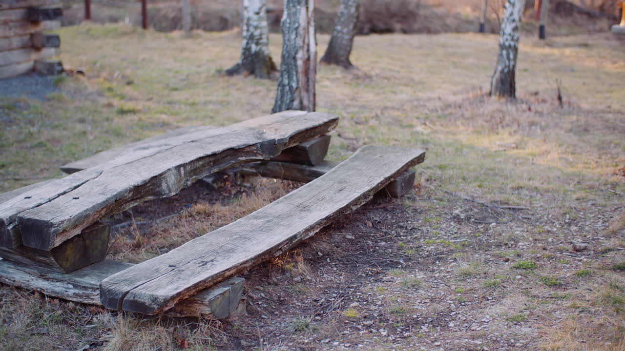 산속을 걷는 동안 브레이크를 밟는 여성 관광객