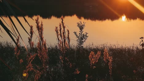 puesta de sol sobre el lago