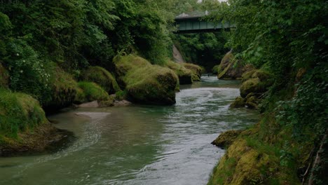 small-stream-in-a-canyon-surrounded-by-forest-with-a-small-bridge-in-the-background-with-cars-driving-over-it