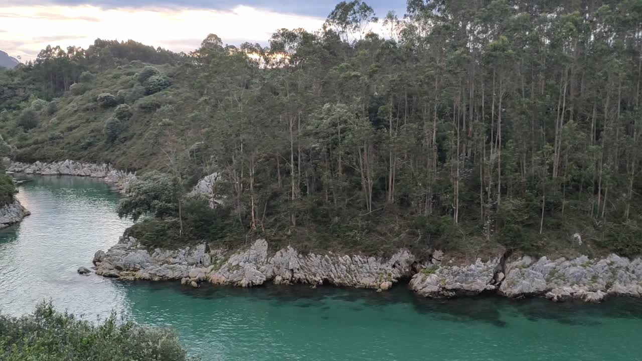 Dense coastal forest meets rocky shoreline, Guadamia Beach, Asturias, calm mood