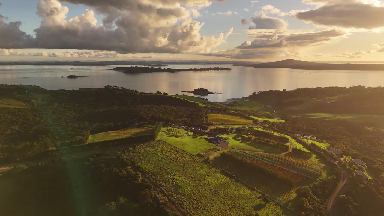 Aerial establishing shot of idyllic vineyards on hill of Waiheke island, New Zealand. Sunset time on Island. Wide shot. Green Mountains and blue sea in distance.