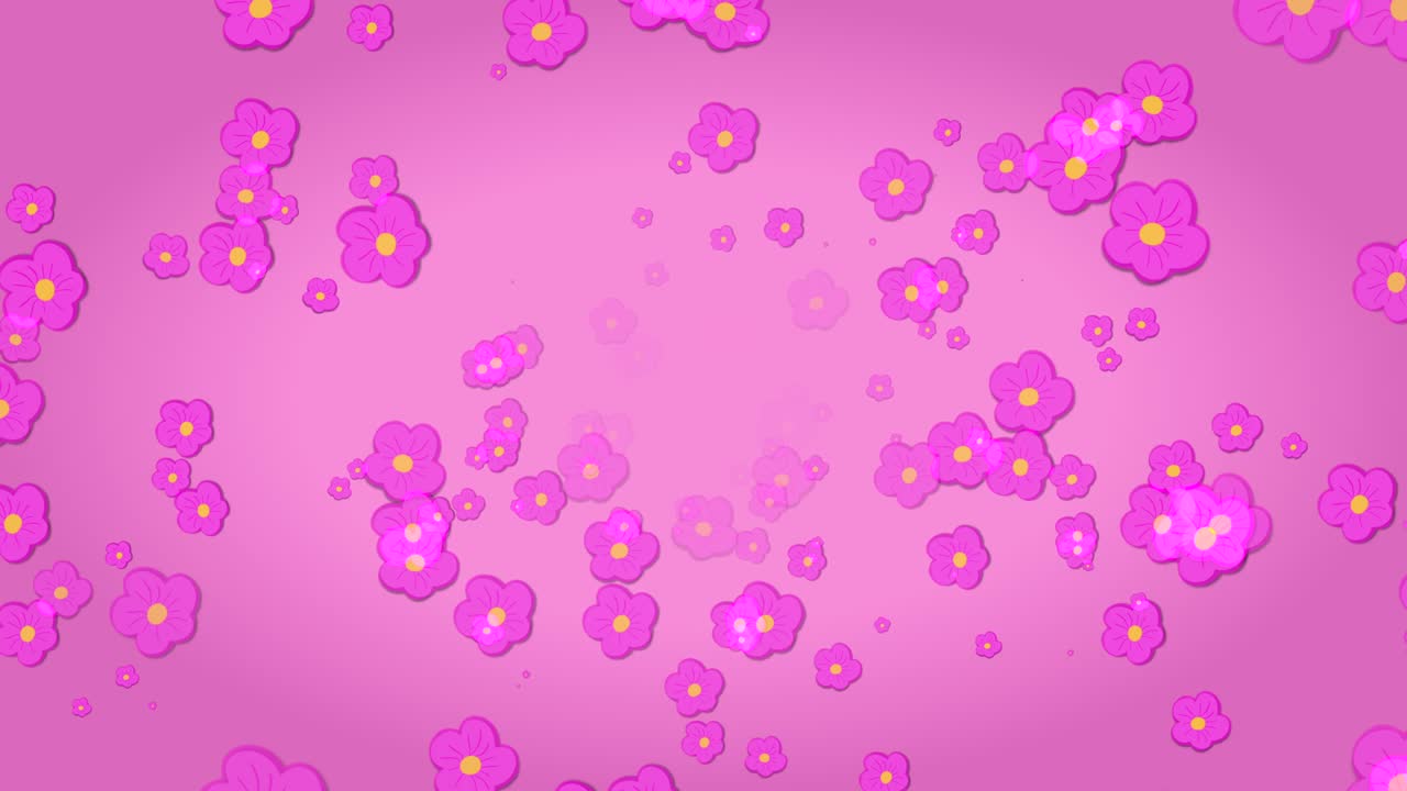 움직이는 체리 꽃과 함께 분홍색 배경