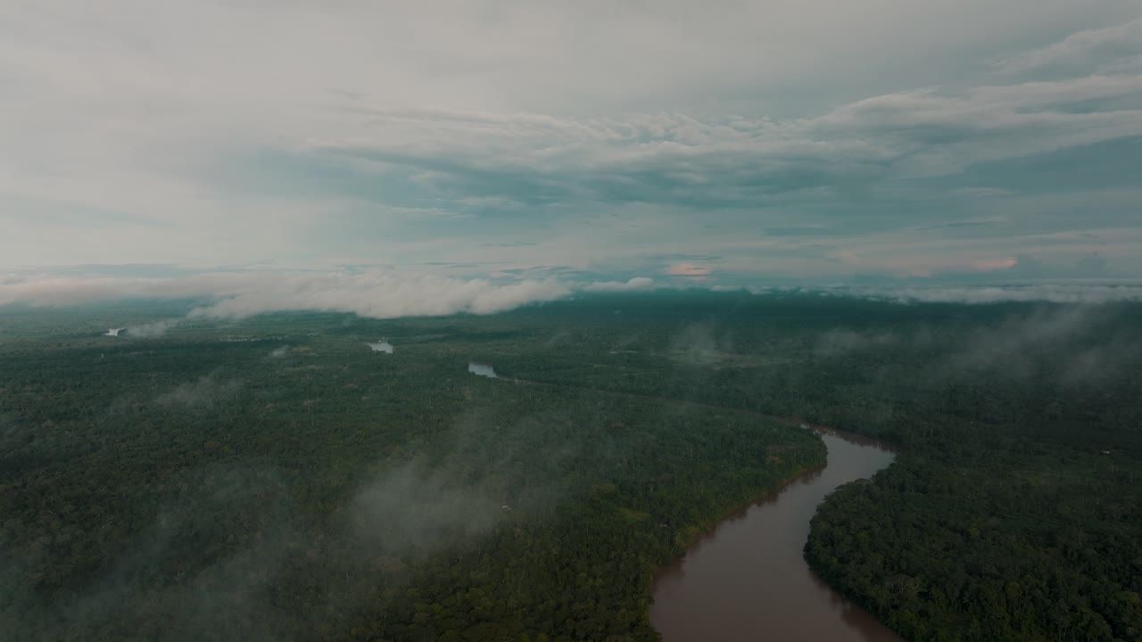 sobrevuelo aéreo lento del río amazonas y paisaje de selva verde del perú durante el día nublado, américa del sur