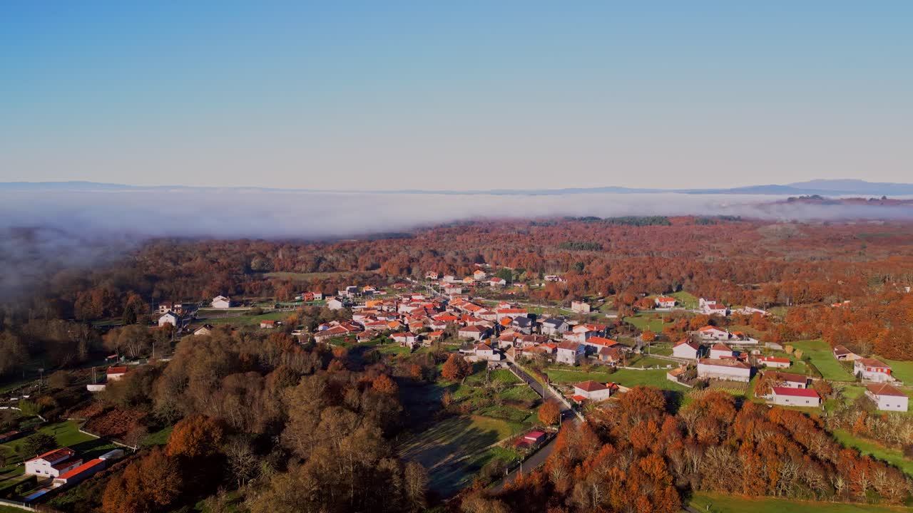 Aerial View Of Fog Over A Big Forest On Sunny Day Approaching A Village