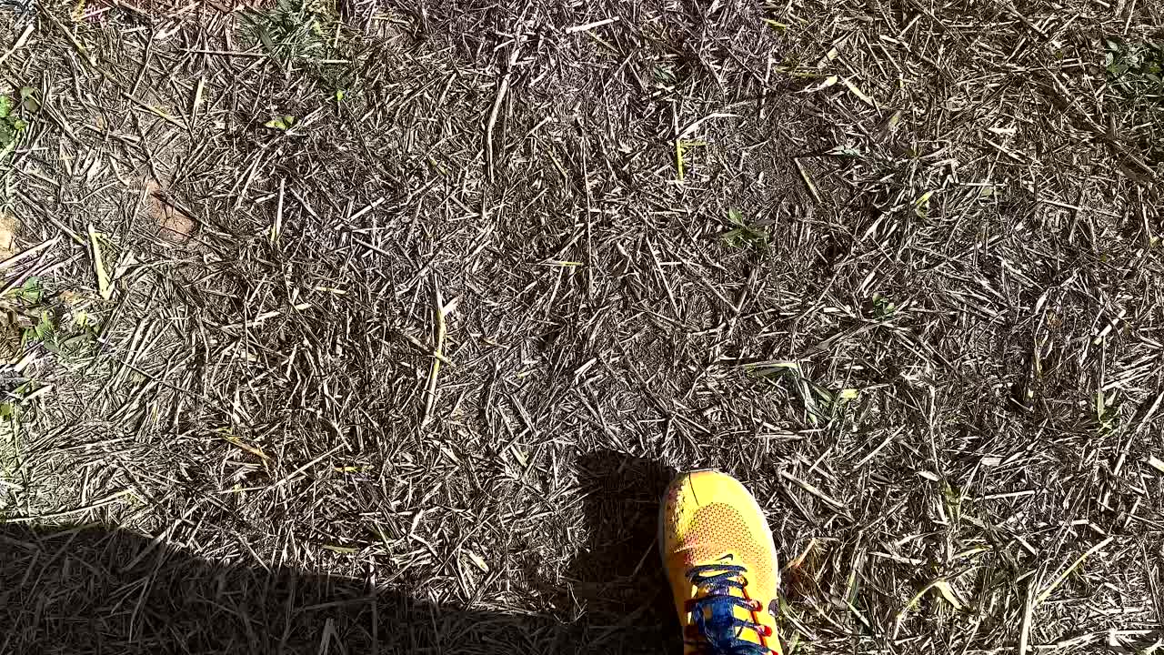 persona caminando sobre la hierba seca a la luz del sol