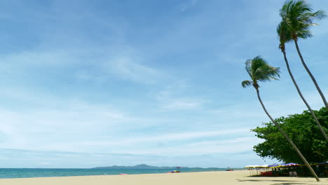 beautiful landscape of coconut palm trees and white clouds around blue sky