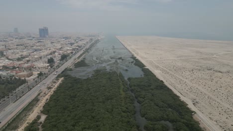 aerial flying over green area in dammam, desert land on right, saudi arabia