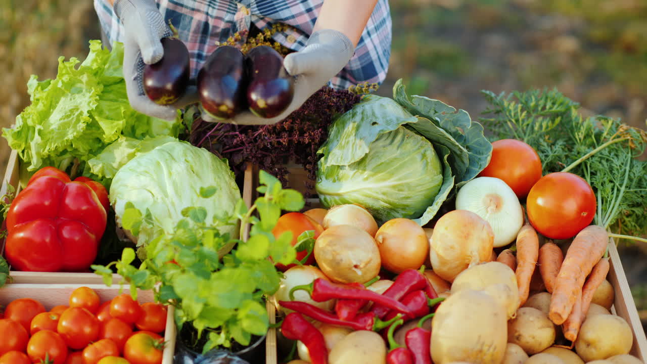 농민 시장의 판매자는 카운터에 야채를 배치