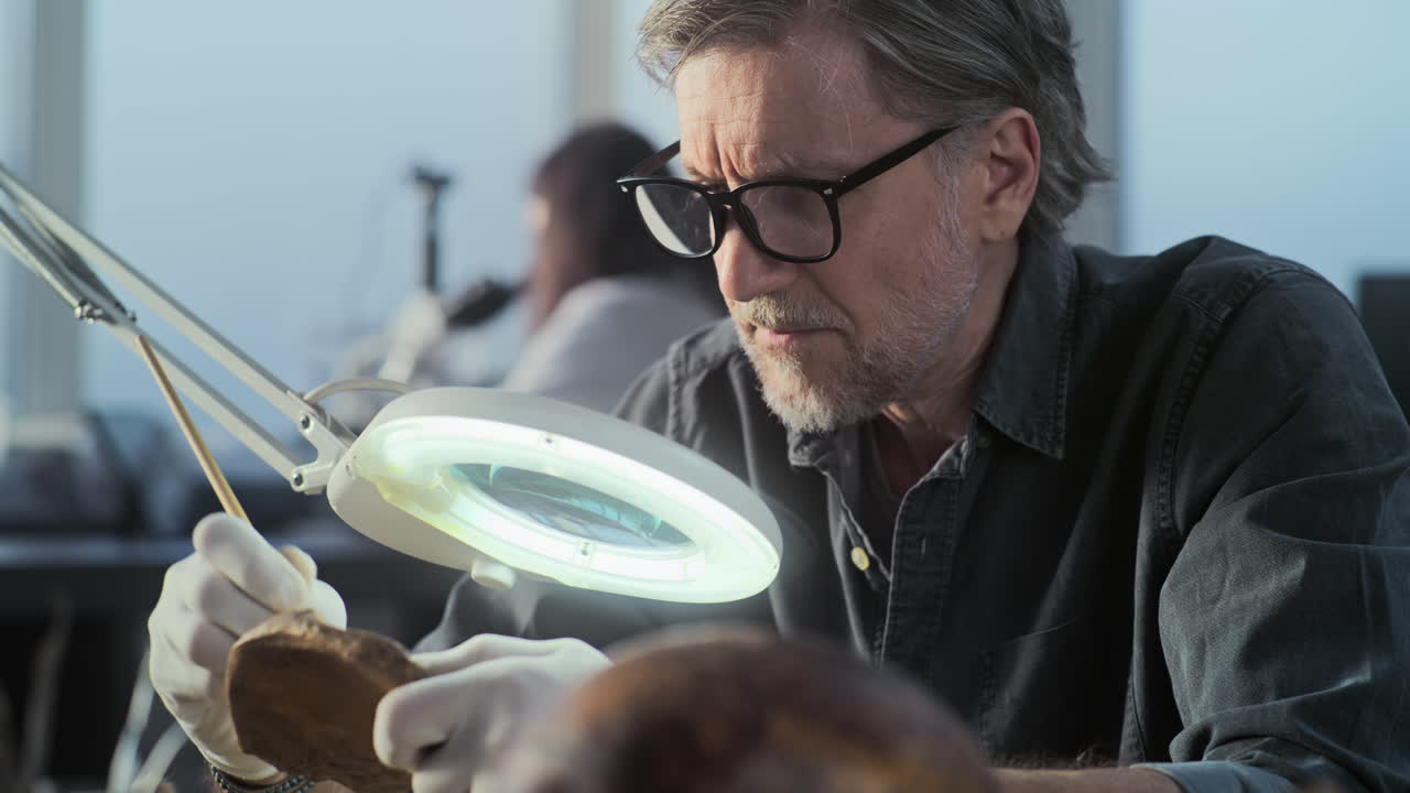 화석 을 조사 하는 고고학자