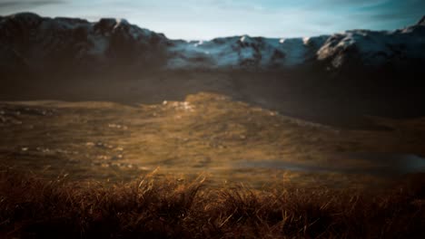 dry grass and snow covered mountains in alaska