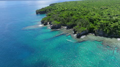 scenic seascape and vegetation in moso island, vanuatu - aerial drone shot