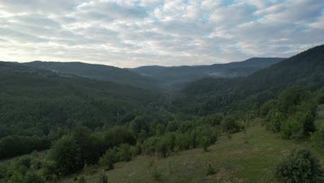 Deep-Greenery-Valley,-every-color-of-green-in-nature,-our-green-beautiful-world,-climate-change-and-disappearing-forests,-our-oxygen-source-trees