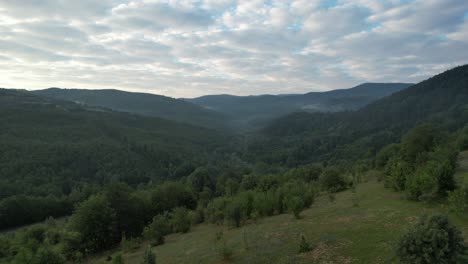 deep greenery valley, every color of green in nature, our green beautiful world, climate change and disappearing forests, our oxygen source trees