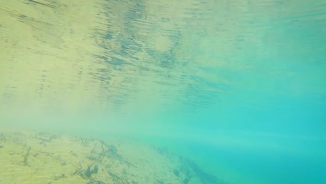 river-shore-upper-and-underwater-view-in-clear-blue-water-at-day