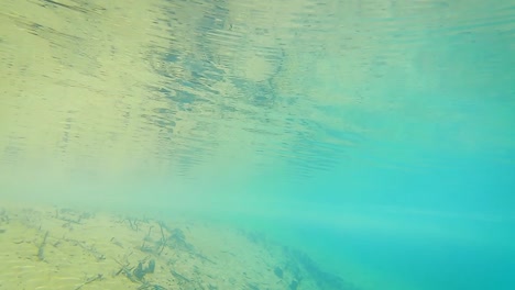 Ober--Und-Unterwasseransicht-Des-Flussufers-In-Klarem,-Blauem-Wasser-Am-Tag