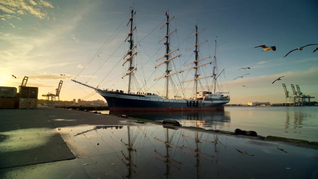 Gleitende Möwen überqueren den Himmel über dem Hafen, Sonnenlicht auf dem Schiffsrumpf verschiebt die Spiegelung eines hochmastigen Schiffes im Wasser.