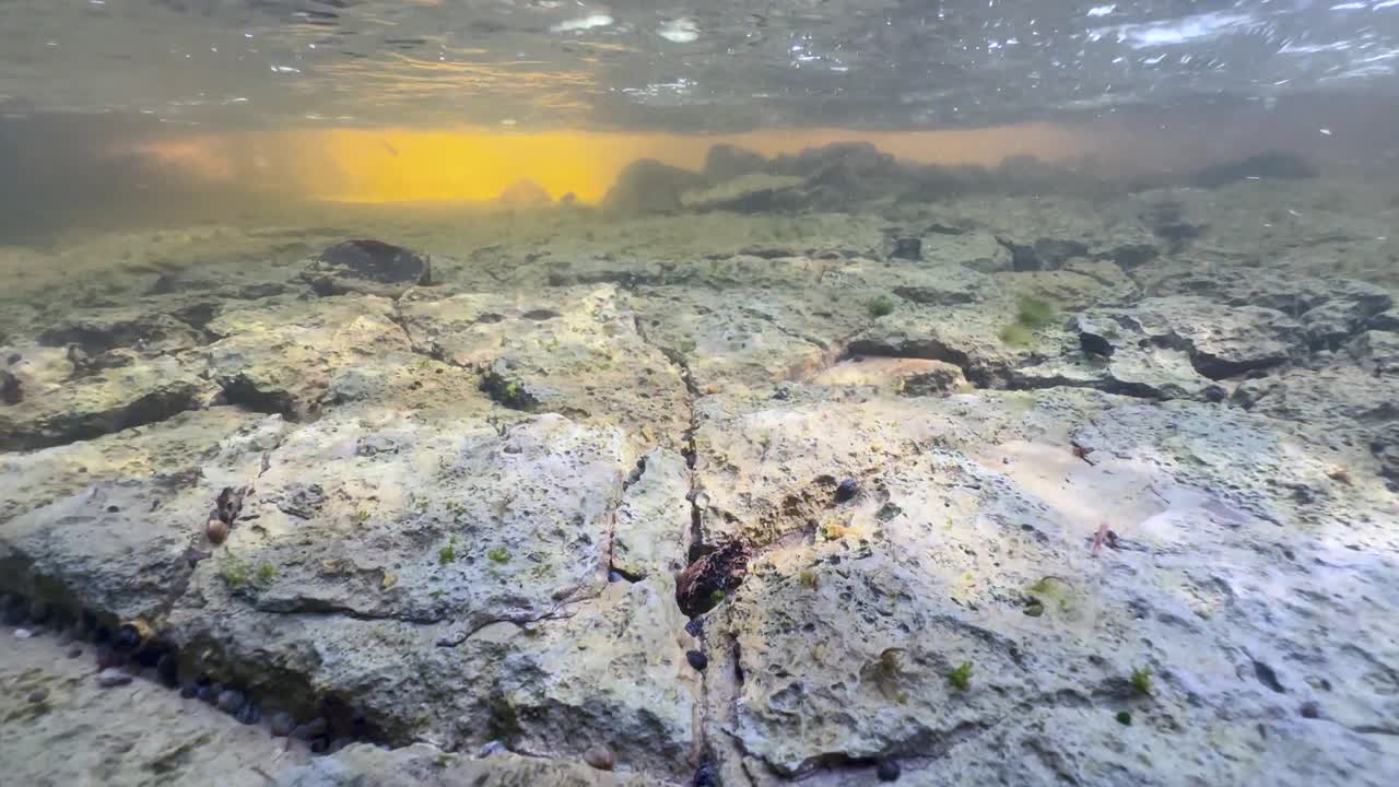 Shallow stream with a limestone bottom in Saaremaa, Estonia