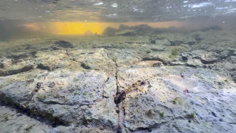 shallow stream with a limestone bottom in saaremaa, estonia