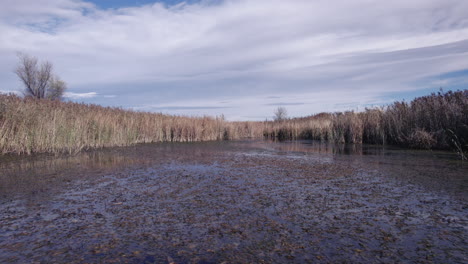 a low cinematic view, simulating the perspective of filming from a boat on a marsh