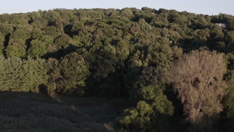 Drone-flying-backwards-over-forest-reveal-old-historic-silo-and-barn