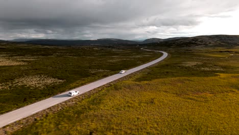 arial view of a white car driving on a highland road. brown and green moss growing next to the road with dark clouds on the horizon.