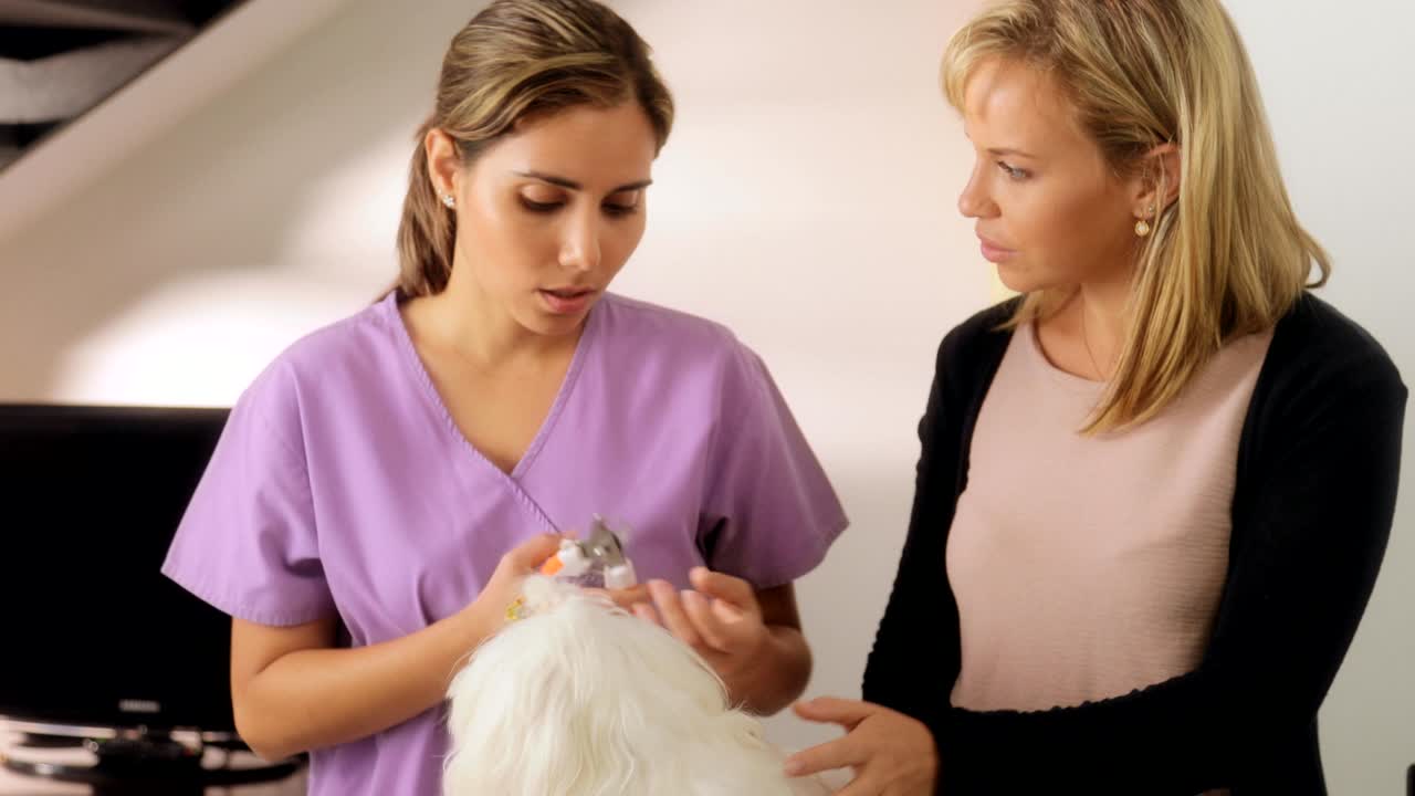 veterinario enseñando cómo usar el cortador de uñas con el perro