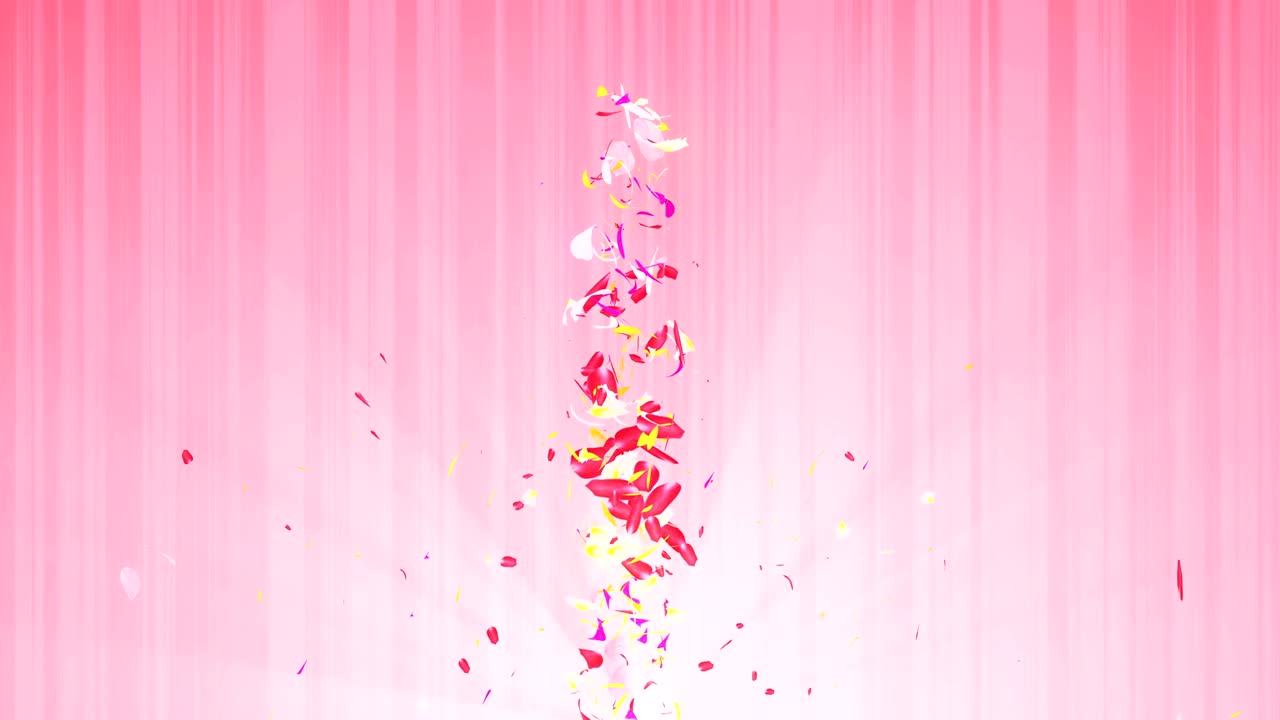 화려한 잎자루, 나선형 반이는 꽃잎, 꽃 모양, 예쁜 춤추는 꽃잎, 회전하는 꽃잎에서 소용돌이, 추상적인 루프 애니메이션.